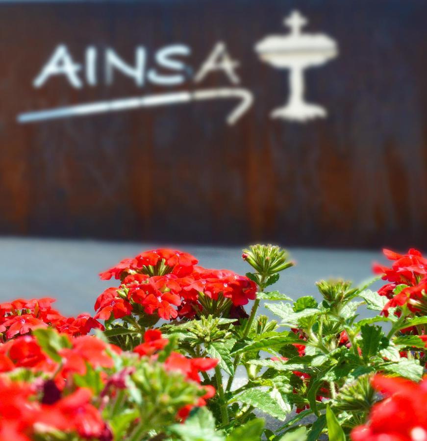 Guest House Ainsa Pirineos Kültér fotó